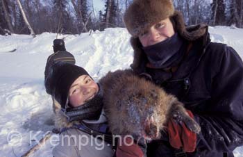 Bever fanga under isen. Alaska