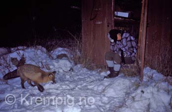 Søvnig jeger på post